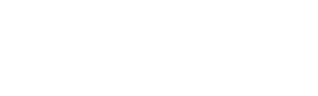 BizzyCar logo